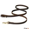 Leather_Leash_dog