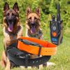 dogtra ARC 1202s