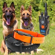 Dogtra ARC1202S-קולר אילוף חשמלי איכותי ל-2 כלבים (מקביל ל-1900s)