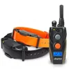 set dogtra ARC 1202s