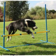 משוכת JUMP לספורט ואג’יליטי לכלבים