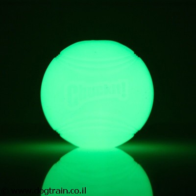 ChuckIt Max Glow-כדור פולט אור מגומי איכותי עמיד
