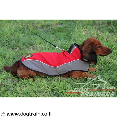מעיל ניילון מחמם לכלב לטיולים בחורף ובגשם