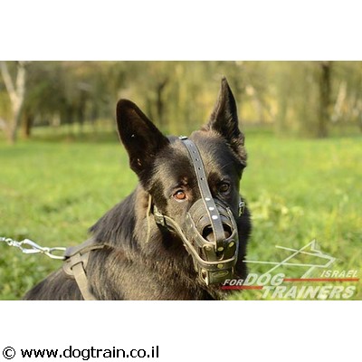 זמם לכלב בצורת סל בסגנון מלכותי מעור מאוורר וקל לשימוש יומיומי