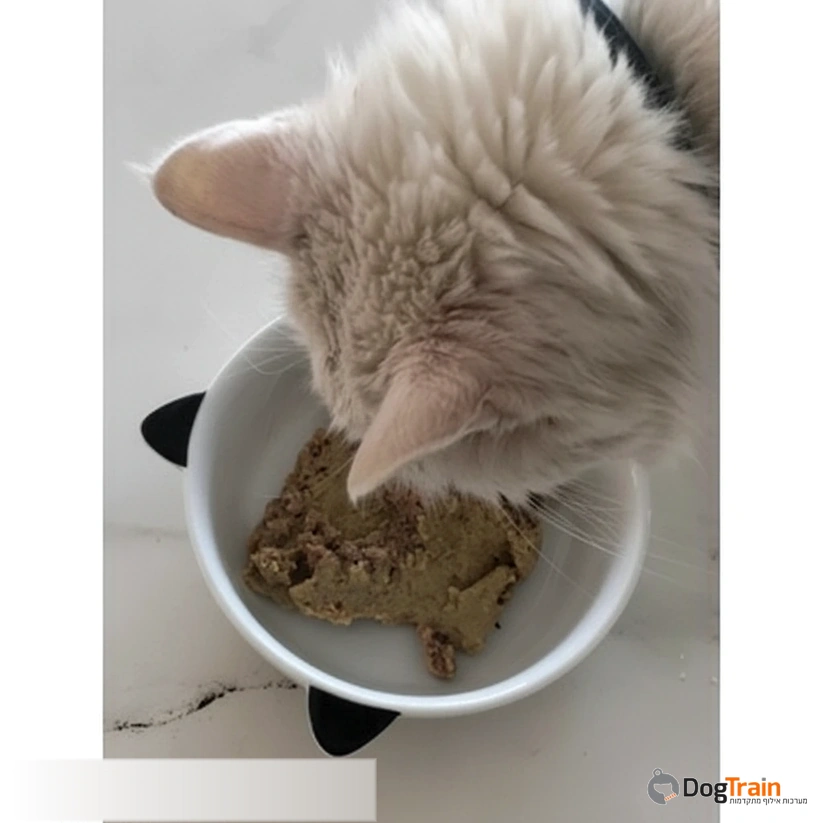 Felis_Nature_פליס_נייצ_ר_מזון_100_טבעי_לחתולים_logo_3