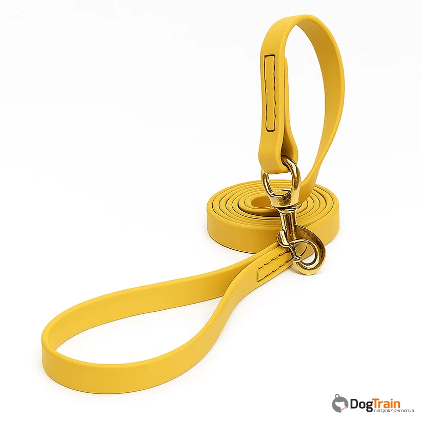 רצועת_ביאוטן_לכלבים_רוחב_20_מ_מ_1