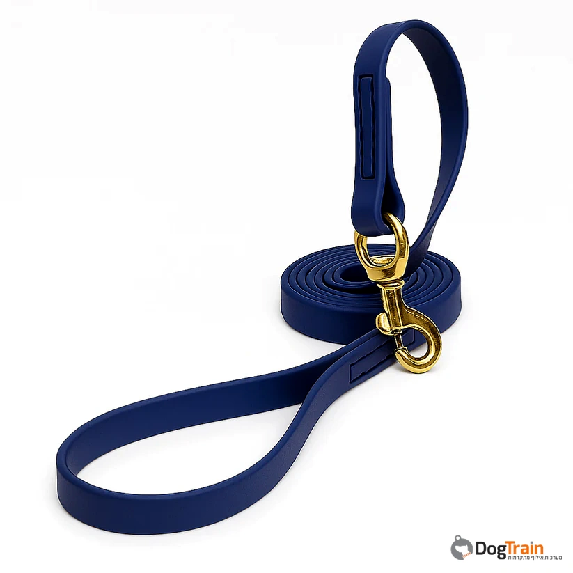 רצועת_ביאוטן_לכלבים_רוחב_20_מ_מ_3