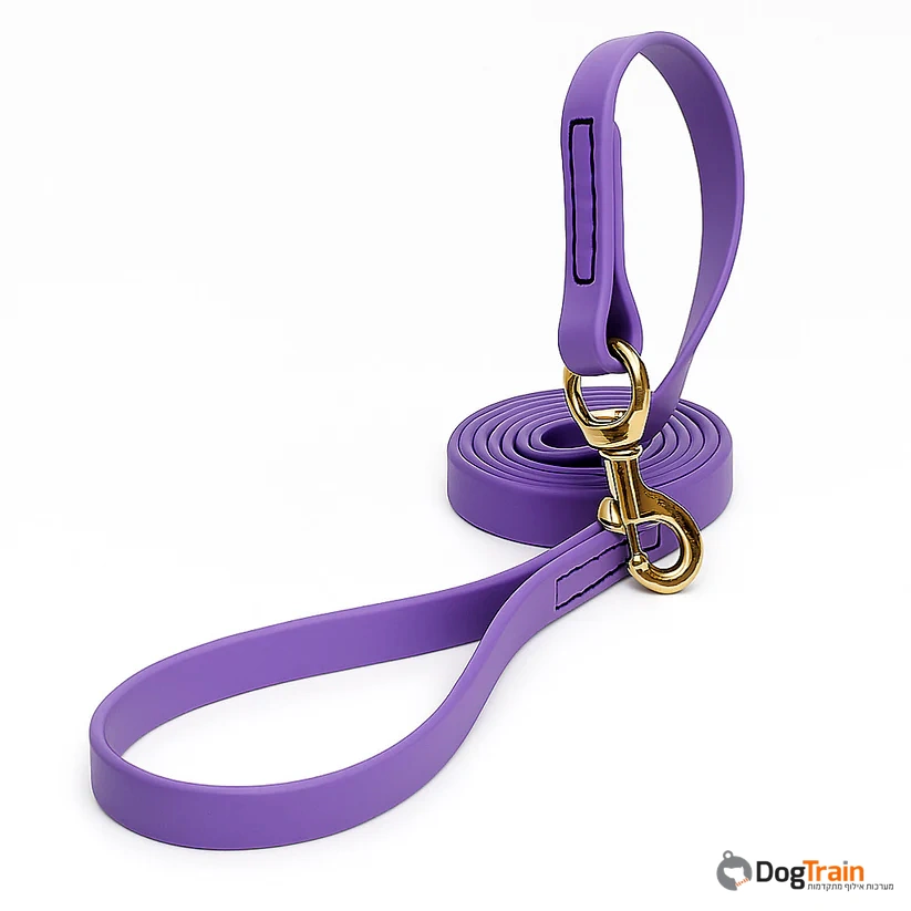 רצועת_ביאוטן_לכלבים_רוחב_20_מ_מ_4