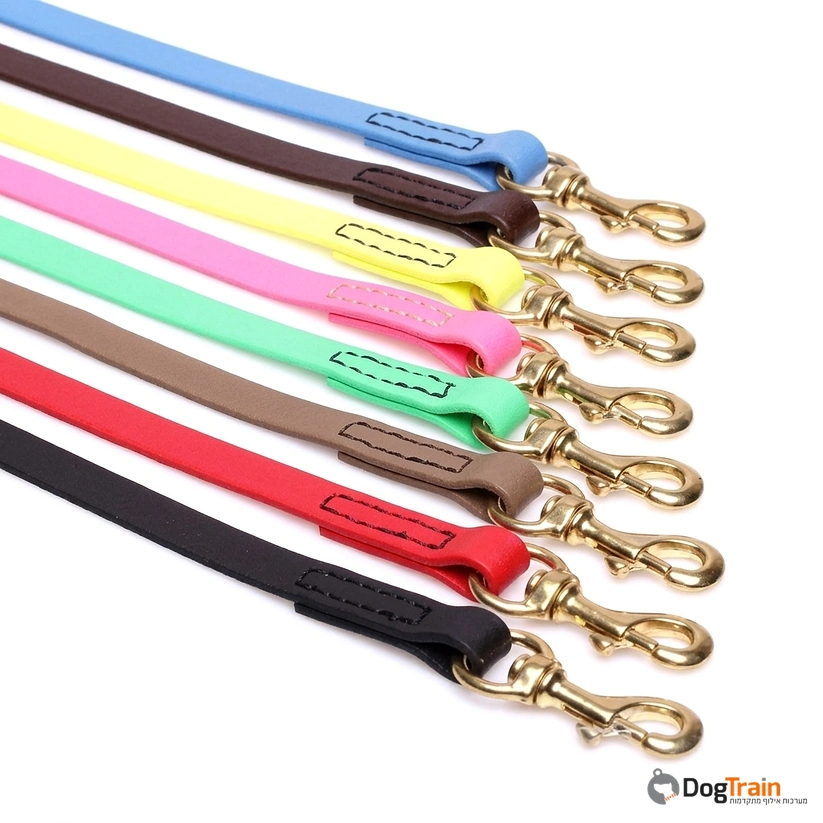 רצועת_ביאוטן_1