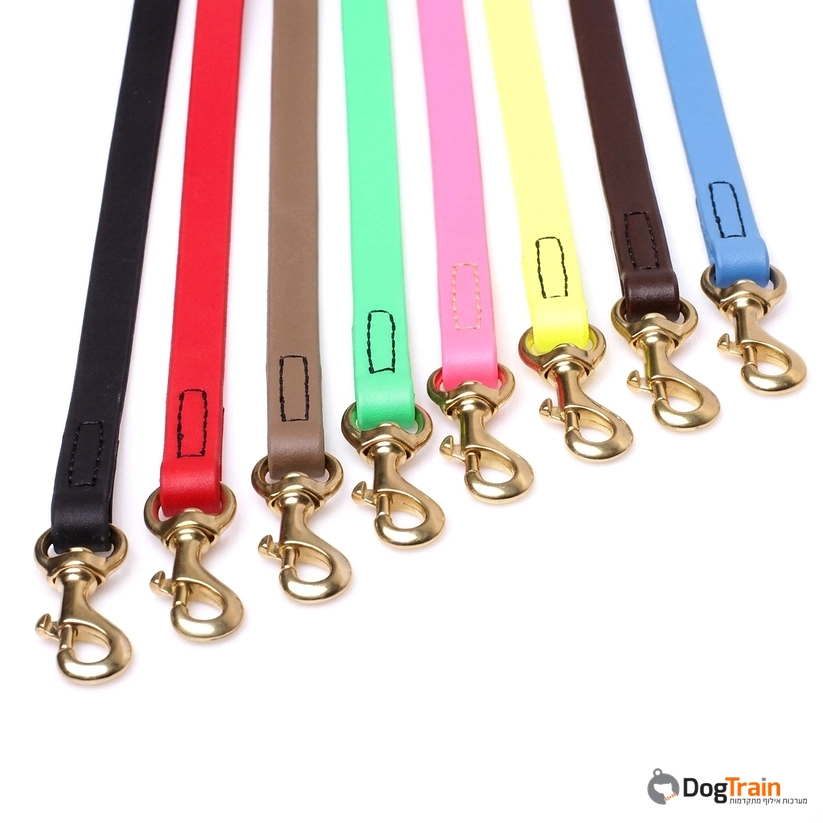 רצועת_ביאוטן_1