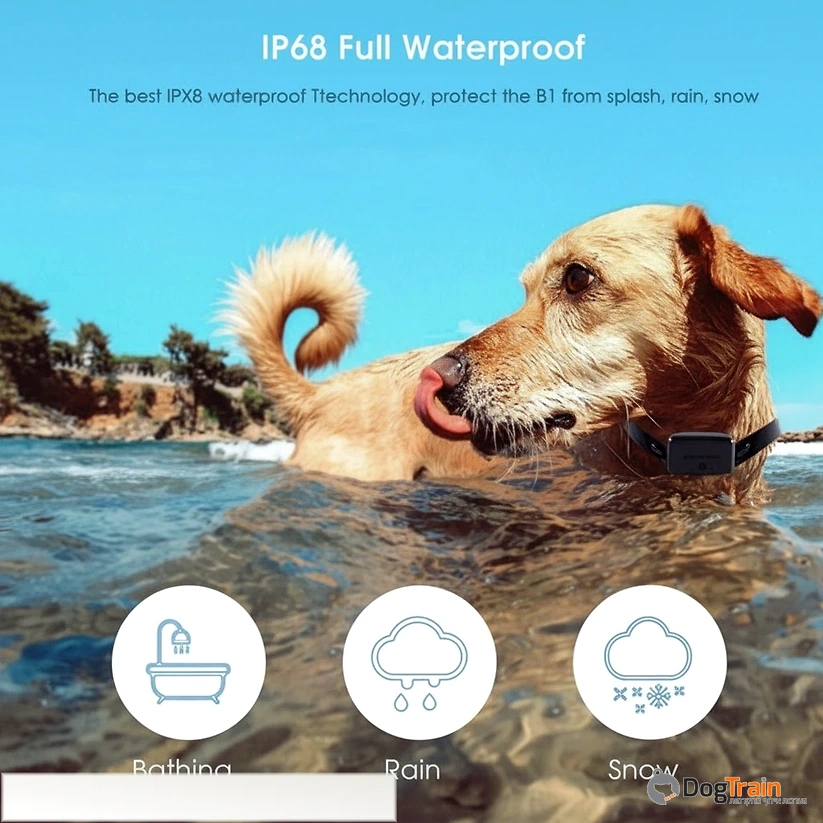 קולר_חשמלי_למניעת_נביחות_משולב_שליטה_מרחוק_לאילוף_באמצעות_הסמארטפון_ללא_זרם_logo_3