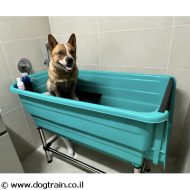 אמבטיה בינונית לרחיצת כלבים כוללת רמפת עלייה