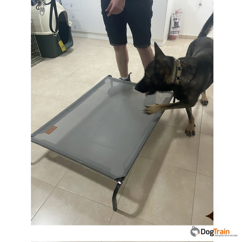 מיטת_רשת_טרמפולינה_מתוחה_מוגבהת_לכלב_דגם_DogsLife_בחמישה_גדלים_logo_2