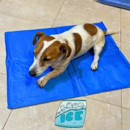 משטח / שטיחון קירור ג’ל לכלב בחודשי הקיץ החמים בשלוש מידות