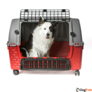 BAMA כלוב איטלקי איכותי לרכב לכלבים לתא מטען ברכבי SUV