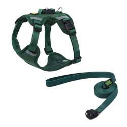 esay-lock-dog-harness-green_1
