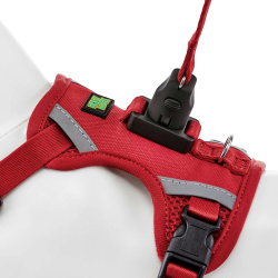 harness-collar-demo-red