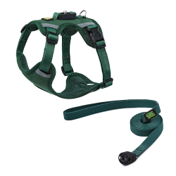 harness-collar-green