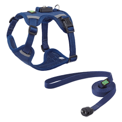 harness-collar navy blue