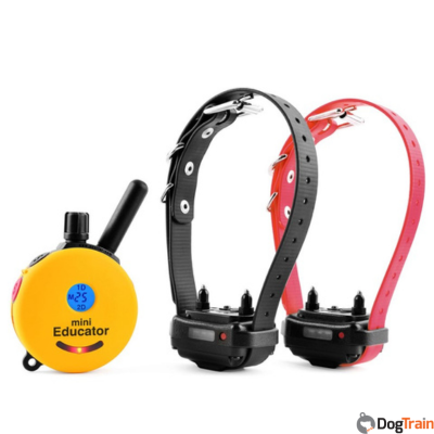 et-302-2-dog-mini-educator-e-collar-with-2-receivers