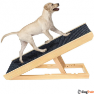 רמפת עלייה על ספות ומיטות לכלבים בינוניים וגדולים עם קושי בעלייה/קפיצה