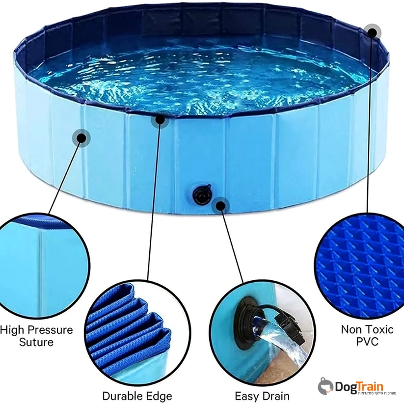 בריכה_לכלבים_1