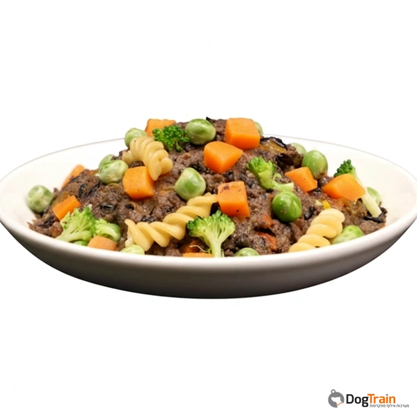 Absolute_Holistic_Home_Cooked_-100_מזון_טבעי_לכלבים_עם_סלמון_אפונה_ובקר_1