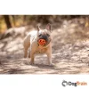 Air Fetch Ball M2_processed