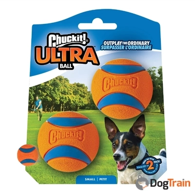ChuckIt ULTRA זוג כדורים חזית S_processed