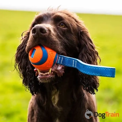 chuck-it-ultra-tug DOG_processed