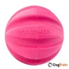 כדור עמיד לכלבים Swift Tuttle מבית Dog Comets 4_processed