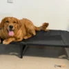 Dogslife_Secret_מיטת_רשת_טרמפולינה_מוגבהת_לכלבים2_1
