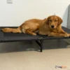 Dogslife_Secret_מיטת_רשת_טרמפולינה_מוגבהת_לכלבים2_2