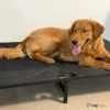 Dogslife_Secret_מיטת_רשת_טרמפולינה_מוגבהת_לכלבים2_3