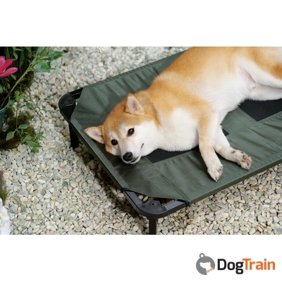 מיטה מוגבהת דוג סיקרט4_processed