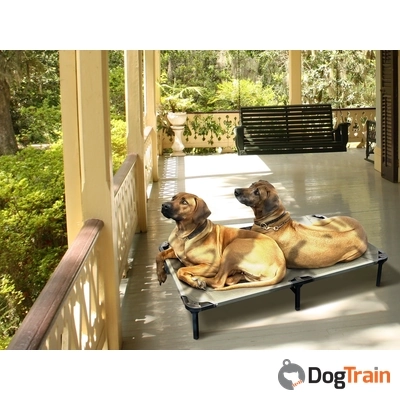 מיטה מוגבהת דוג סיקרט_processed