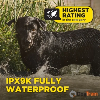 Dogtra1202X-קולר אילוף חשמלי לשליטה על 2 לכלבים (מקביל ל-1902X)1_processed