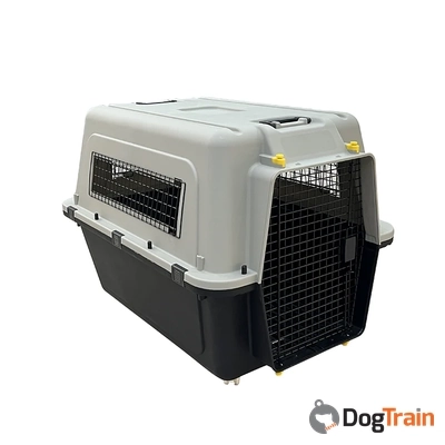 כלוב טיסה אלפה מבט פנים