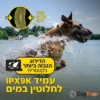 Dogtra ARC-X3_processed קולר אילוף חשמלי דוגטרה