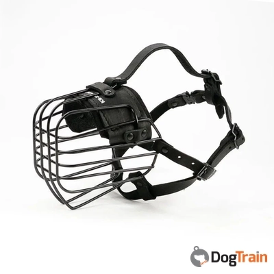 זמם תלת מימדי 1