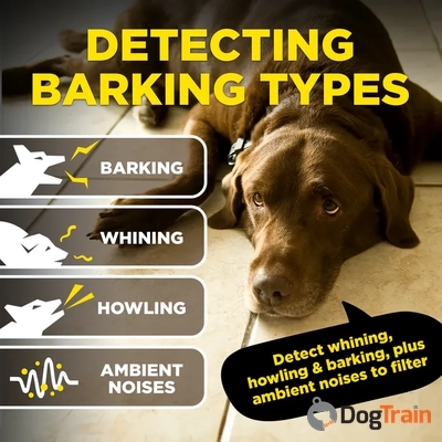 קולר נביחות חכם dogtra smart nobark עם שליטה דרך הסמרטפון1_processed