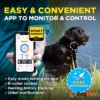 קולר נביחות חכם dogtra smart nobark עם שליטה דרך הסמרטפון3_processed