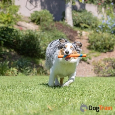 ChuckIt ULTRA FETCH STICK2_processed