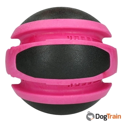 dog comets jupiter_processed