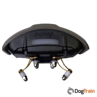 מתאם פרפר לקולרי מסדרת X החדשים1_processed