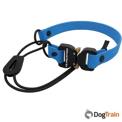 1רצועה חלופית לקולר אילוף משולבת סגירת בנג'י_processed