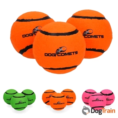 dog_comets_neutron_star3_processed