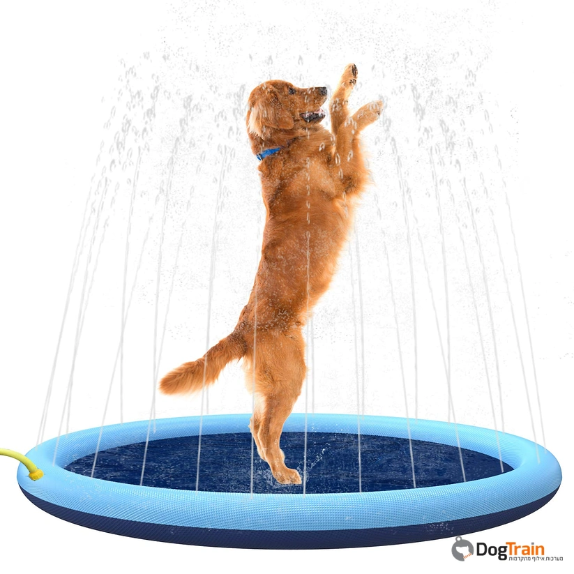 בריכת_מתזים_לכלבים_1