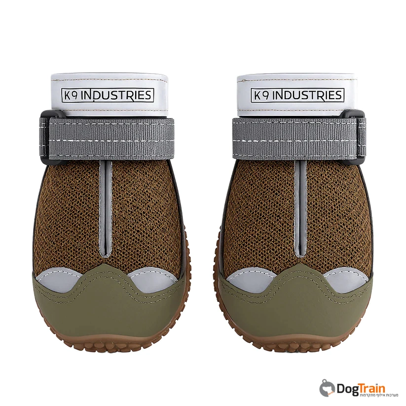 נעליים_לכלב_1