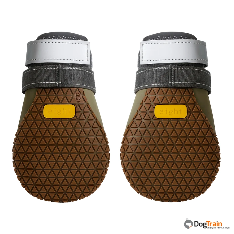 נעליים_לכלב_2